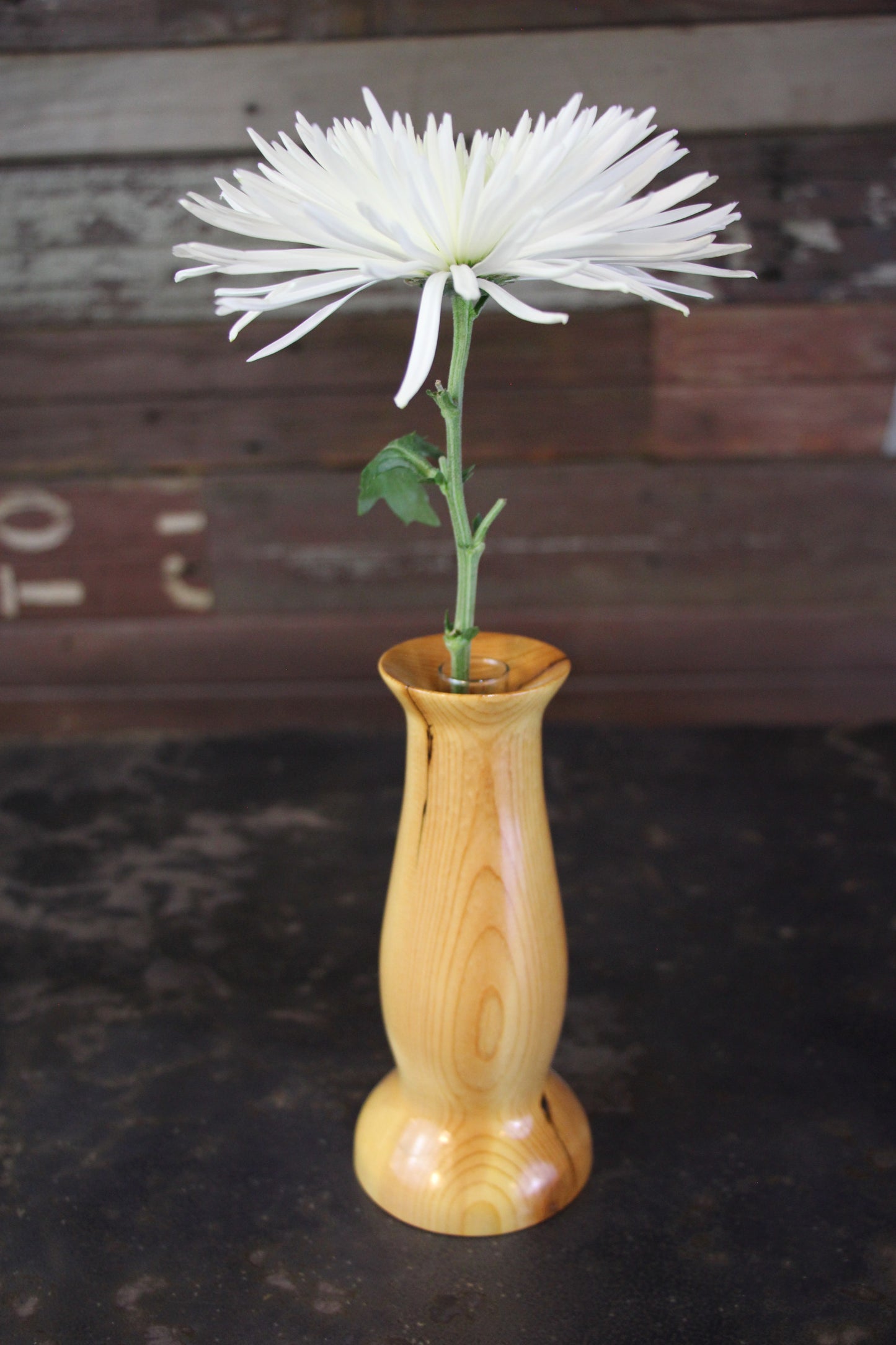 Small Wooden Vase with glass