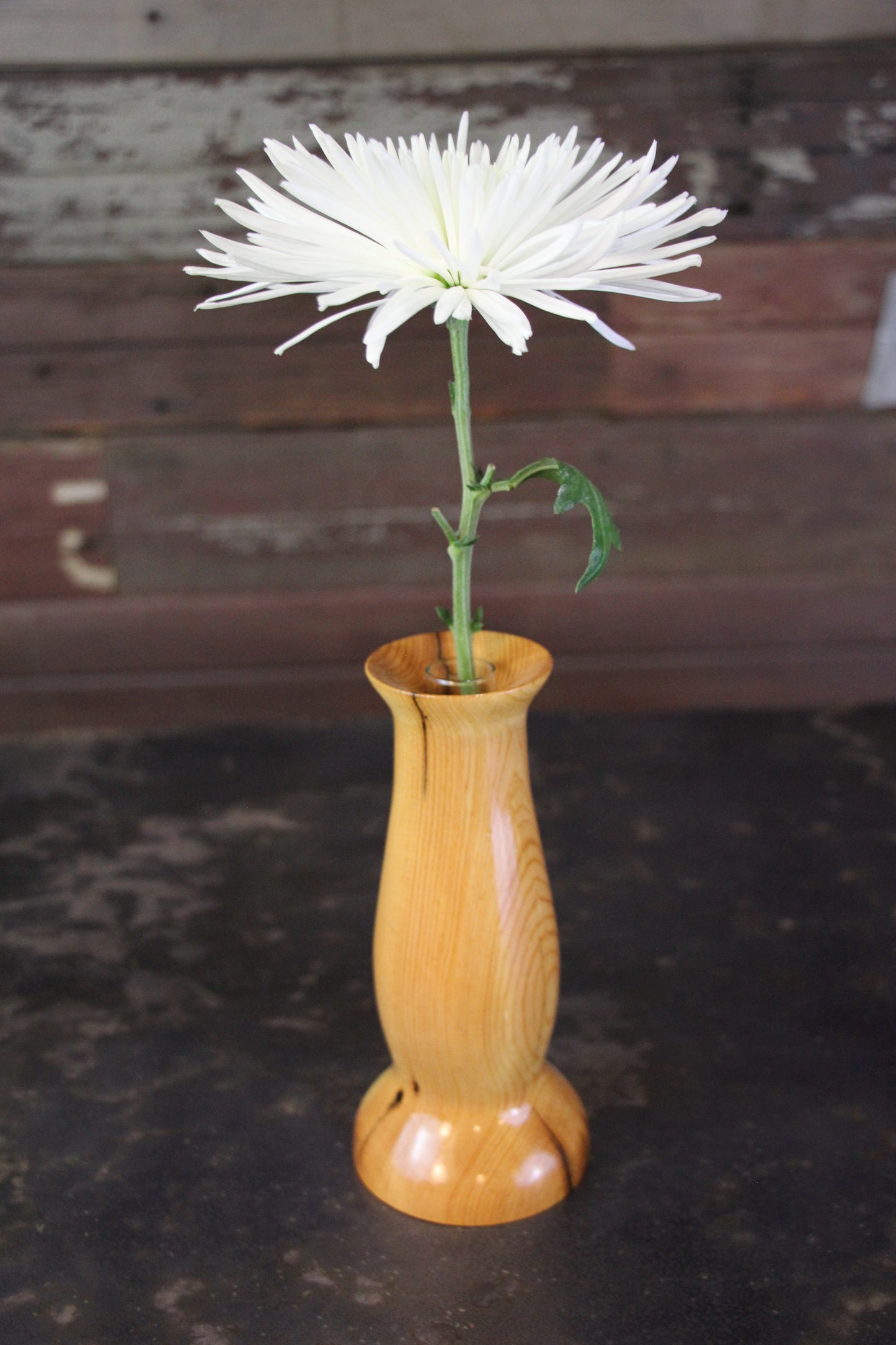Small Wooden Vase with glass